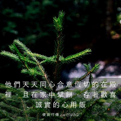 Picture 03 - 使 徒 行 傳 2:46 CUVT - 他 們 天 天 同 心 合 意 恆 切 的 在 - Bible Verse Picture