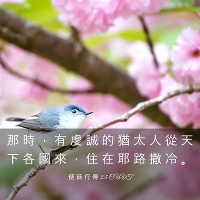 Picture 03 - 使 徒 行 傳 2:5 CUVT - 那 時 ， 有 虔 誠 的 猶 太 人 從 天 - Bible Verse Picture