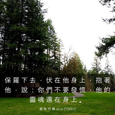 Picture 03 - 使 徒 行 傳 20:10 CUVT - 保 羅 下 去 ， 伏 在 他 身 上 ， 抱 - Bible Verse Picture