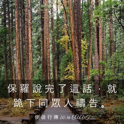 Picture 03 - 使 徒 行 傳 20:36 CUVT - 保 羅 說 完 了 這 話 ， 就 跪 下 同 - Bible Verse Picture