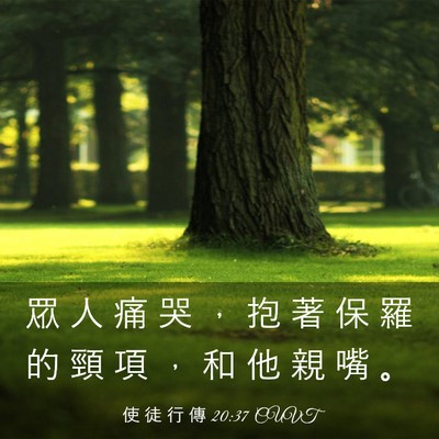 Picture 03 - 使 徒 行 傳 20:37 CUVT - 眾 人 痛 哭 ， 抱 著 保 羅 的 頸 項 - Bible Verse Picture