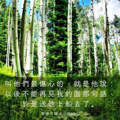 Picture 03 - 使 徒 行 傳 20:38 CUVT - 叫 他 們 最 傷 心 的 ， 就 是 他 說 - Bible Verse Picture