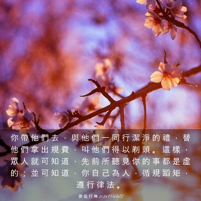 Picture 03 - 使 徒 行 傳 21:24 CUVT - 你 帶 他 們 去 ， 與 他 們 一 同 行 - Bible Verse Picture