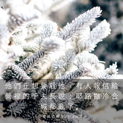 Picture 03 - 使 徒 行 傳 21:31 CUVT - 他 們 正 想 要 殺 他 ， 有 人 報 信 - Bible Verse Picture