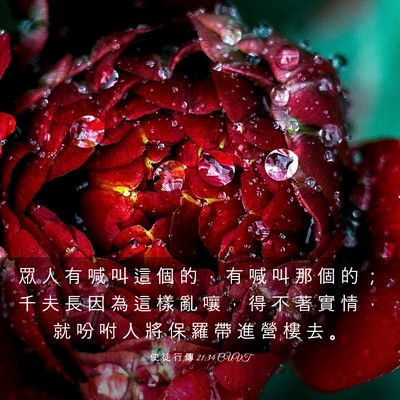 Picture 03 - 使 徒 行 傳 21:34 CUVT - 眾 人 有 喊 叫 這 個 的 ， 有 喊 叫 - Bible Verse Picture