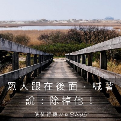 Picture 03 - 使 徒 行 傳 21:36 CUVT - 眾 人 跟 在 後 面 ， 喊 著 說 ： 除 - Bible Verse Picture