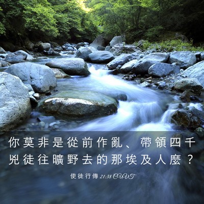 Picture 03 - 使 徒 行 傳 21:38 CUVT - 你 莫 非 是 從 前 作 亂 、 帶 領 四 - Bible Verse Picture