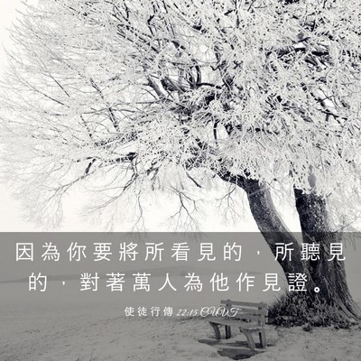 Picture 03 - 使 徒 行 傳 22:15 CUVT - 因 為 你 要 將 所 看 見 的 ， 所 聽 - Bible Verse Picture
