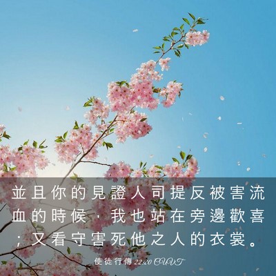 Picture 03 - 使 徒 行 傳 22:20 CUVT - 並 且 你 的 見 證 人 司 提 反 被 害 - Bible Verse Picture