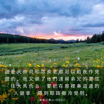 Picture 03 - 使 徒 行 傳 22:5 CUVT - 這 是 大 祭 司 和 眾 長 老 都 可 以 - Bible Verse Picture