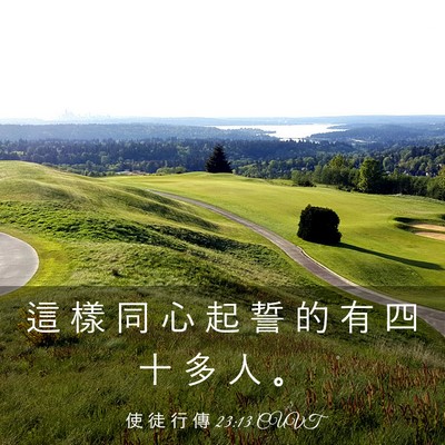 Picture 03 - 使 徒 行 傳 23:13 CUVT - 這 樣 同 心 起 誓 的 有 四 十 多 人 - Bible Verse Picture