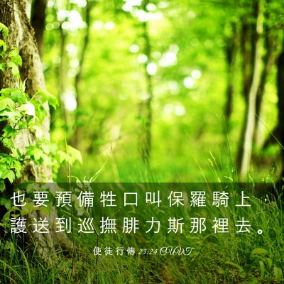 Picture 03 - 使 徒 行 傳 23:24 CUVT - 也 要 預 備 牲 口 叫 保 羅 騎 上 ， - Bible Verse Picture