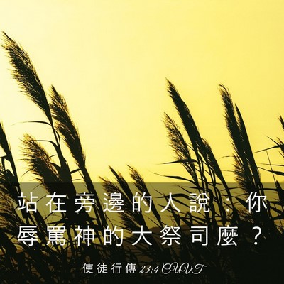 Picture 03 - 使 徒 行 傳 23:4 CUVT - 站 在 旁 邊 的 人 說 ： 你 辱 罵 神 - Bible Verse Picture