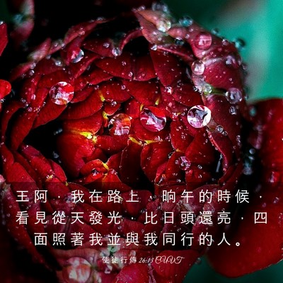 Picture 03 - 使 徒 行 傳 26:13 CUVT - 王 阿 ， 我 在 路 上 ， 晌 午 的 時 - Bible Verse Picture