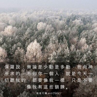Picture 03 - 使 徒 行 傳 26:29 CUVT - 保 羅 說 ： 無 論 是 少 勸 是 多 勸 - Bible Verse Picture