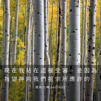 Picture 03 - 使 徒 行 傳 26:6 CUVT - 現 在 我 站 在 這 裡 受 審 ， 是 因 - Bible Verse Picture