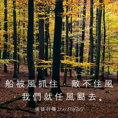 Picture 03 - 使 徒 行 傳 27:15 CUVT - 船 被 風 抓 住 ， 敵 不 住 風 ， 我 - Bible Verse Picture