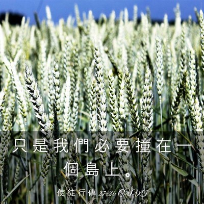 Picture 03 - 使 徒 行 傳 27:26 CUVT - 只 是 我 們 必 要 撞 在 一 個 島 上 - Bible Verse Picture