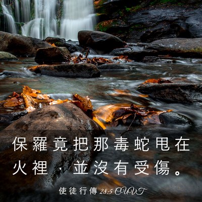 Picture 03 - 使 徒 行 傳 28:5 CUVT - 保 羅 竟 把 那 毒 蛇 甩 在 火 裡 ， - Bible Verse Picture