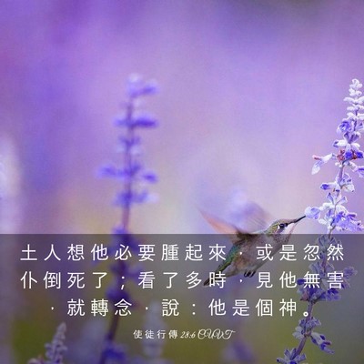 Picture 03 - 使 徒 行 傳 28:6 CUVT - 土 人 想 他 必 要 腫 起 來 ， 或 是 - Bible Verse Picture