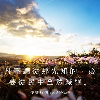 Picture 03 - 使 徒 行 傳 3:23 CUVT - 凡 不 聽 從 那 先 知 的 ， 必 要 從 - Bible Verse Picture