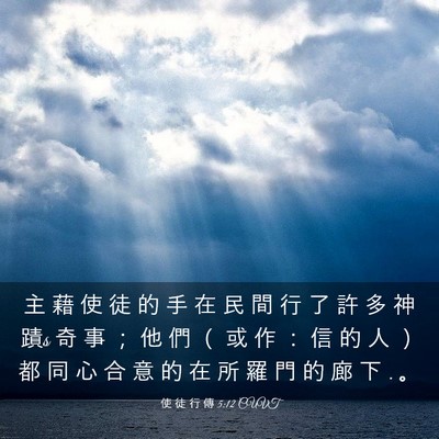 Picture 03 - 使 徒 行 傳 5:12 CUVT - 主 藉 使 徒 的 手 在 民 間 行 了 許 - Bible Verse Picture