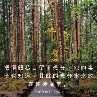 Picture 03 - 使 徒 行 傳 5:2 CUVT - 把 價 銀 私 自 留 下 幾 分 ， 他 的 - Bible Verse Picture