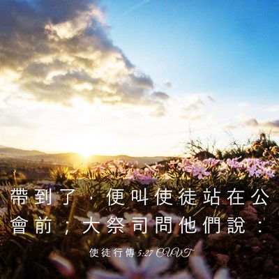 Picture 03 - 使 徒 行 傳 5:27 CUVT - 帶 到 了 ， 便 叫 使 徒 站 在 公 會 - Bible Verse Picture