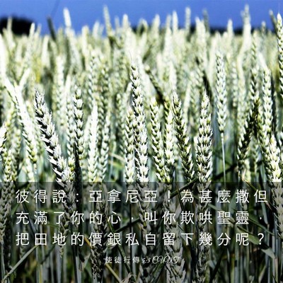 Picture 03 - 使 徒 行 傳 5:3 CUVT - 彼 得 說 ： 亞 拿 尼 亞 ！ 為 甚 麼 - Bible Verse Picture