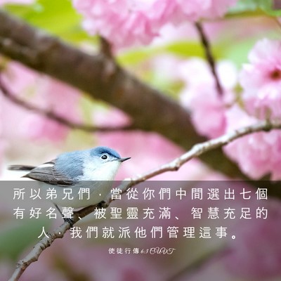 Picture 03 - 使 徒 行 傳 6:3 CUVT - 所 以 弟 兄 們 ， 當 從 你 們 中 間 - Bible Verse Picture