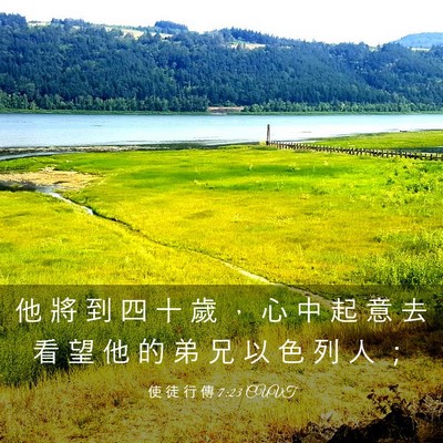 Picture 03 - 使 徒 行 傳 7:23 CUVT - 他 將 到 四 十 歲 ， 心 中 起 意 去 - Bible Verse Picture