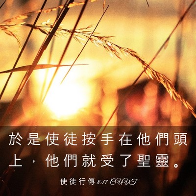 Picture 03 - 使 徒 行 傳 8:17 CUVT - 於 是 使 徒 按 手 在 他 們 頭 上 ， - Bible Verse Picture