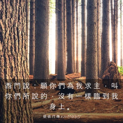 Picture 03 - 使 徒 行 傳 8:24 CUVT - 西 門 說 ： 願 你 們 為 我 求 主 ， - Bible Verse Picture