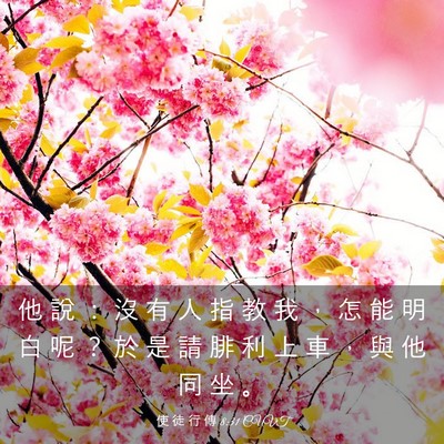 Picture 03 - 使 徒 行 傳 8:31 CUVT - 他 說 ： 沒 有 人 指 教 我 ， 怎 能 - Bible Verse Picture