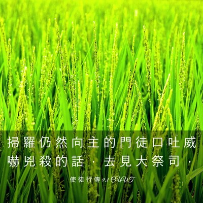 Picture 03 - 使 徒 行 傳 9:1 CUVT - 掃 羅 仍 然 向 主 的 門 徒 口 吐 威 - Bible Verse Picture