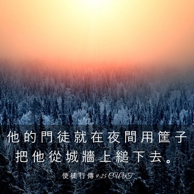 Picture 03 - 使 徒 行 傳 9:25 CUVT - 他 的 門 徒 就 在 夜 間 用 筐 子 把 - Bible Verse Picture