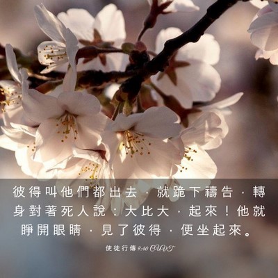 Picture 03 - 使 徒 行 傳 9:40 CUVT - 彼 得 叫 他 們 都 出 去 ， 就 跪 下 - Bible Verse Picture