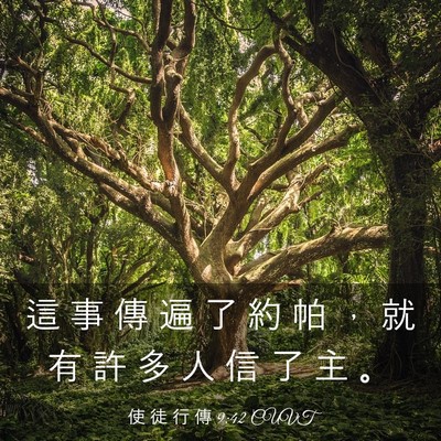 Picture 03 - 使 徒 行 傳 9:42 CUVT - 這 事 傳 遍 了 約 帕 ， 就 有 許 多 - Bible Verse Picture