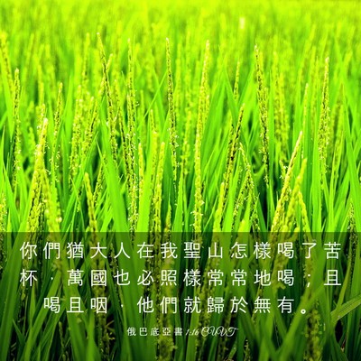 Picture 03 - 俄 巴 底 亞 書 1:16 CUVT - 你 們 猶 大 人 在 我 聖 山 怎 樣 喝 - Bible Verse Picture