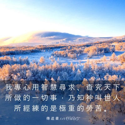 Picture 03 - 傳 道 書 1:13 CUVT - 我 專 心 用 智 慧 尋 求 、 查 究 天 - Bible Verse Picture