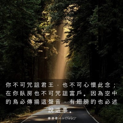 Picture 03 - 傳 道 書 10:20 CUVT - 你 不 可 咒 詛 君 王 ， 也 不 可 心 - Bible Verse Picture