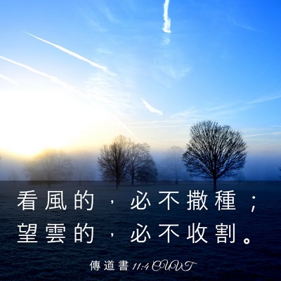 Picture 03 - 傳 道 書 11:4 CUVT - 看 風 的 ， 必 不 撒 種 ； 望 雲 的 - Bible Verse Picture