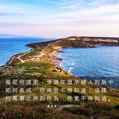 Picture 03 - 傳 道 書 11:5 CUVT - 風 從 何 道 來 ， 骨 頭 在 懷 孕 婦 - Bible Verse Picture