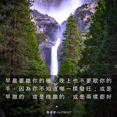Picture 03 - 傳 道 書 11:6 CUVT - 早 晨 要 撒 你 的 種 ， 晚 上 也 不 - Bible Verse Picture