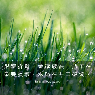 Picture 03 - 傳 道 書 12:6 CUVT - 銀 鍊 折 斷 ， 金 罐 破 裂 ， 瓶 子 - Bible Verse Picture