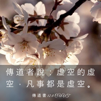 Picture 03 - 傳 道 書 12:8 CUVT - 傳 道 者 說 ： 虛 空 的 虛 空 ， 凡 - Bible Verse Picture