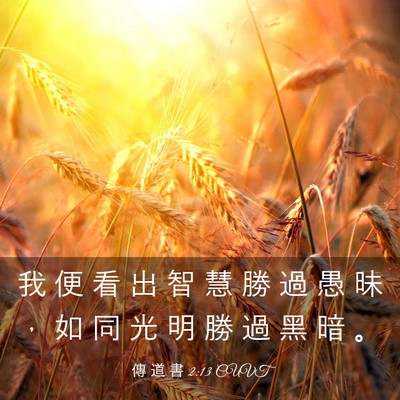 Picture 03 - 傳 道 書 2:13 CUVT - 我 便 看 出 智 慧 勝 過 愚 昧 ， 如 - Bible Verse Picture