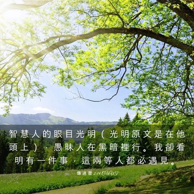 Picture 03 - 傳 道 書 2:14 CUVT - 智 慧 人 的 眼 目 光 明 （ 光 明 原 - Bible Verse Picture