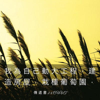 Picture 03 - 傳 道 書 2:4 CUVT - 我 為 自 己 動 大 工 程 ， 建 造 房 - Bible Verse Picture