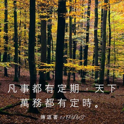 Picture 03 - 傳 道 書 3:1 CUVT - 凡 事 都 有 定 期 ， 天 下 萬 務 都 - Bible Verse Picture